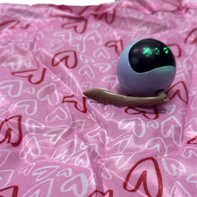 FOFOS HOES VOOR MAGIC BAL KAT ROZE