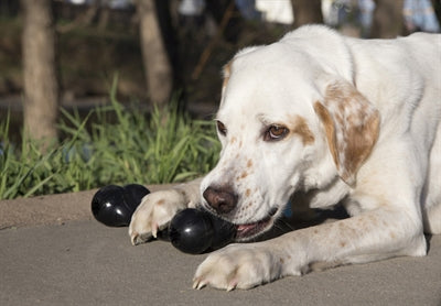 KONG EXTREME GOODIE BONE ZWART