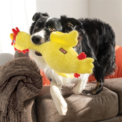 KONG SCRUFFS KIP