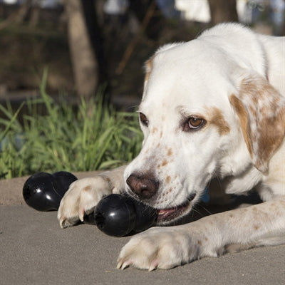 KONG EXTREME GOODIE BONE ZWART