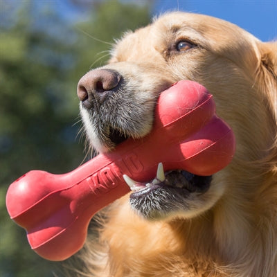 KONG GOODIE BONE