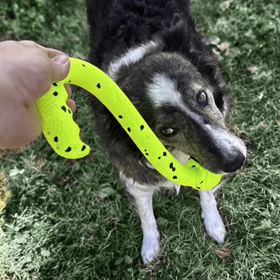 KONG REFLEX TUG 'N FETCH