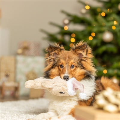 TRIXIE XMAS KOEKJE PLUCHE