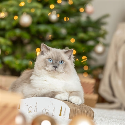 TRIXIE XMAS KERST KRABPLANK KARTON