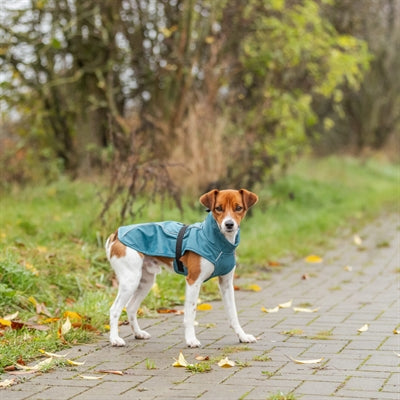Trixie Regenjas Hond Vimy Petrol