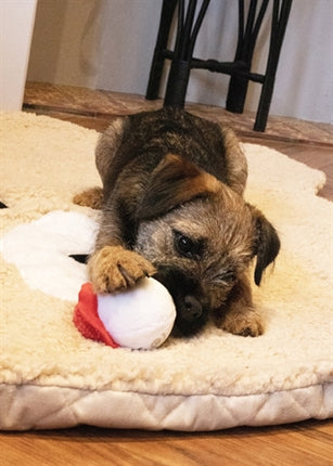 CUPID & COMET SANDRA SNOWBALL