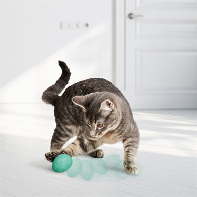 KONG INFUSED EI MET CATNIP