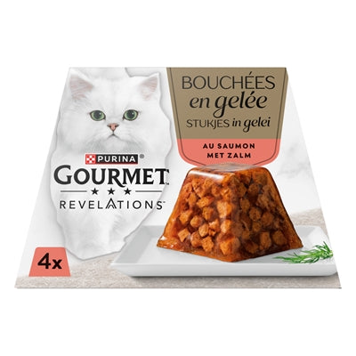GOURMET REVELATIONS ZALM IN GELEI