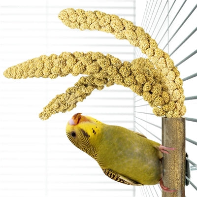 BACK ZOO NATURE GRASS KEEPER