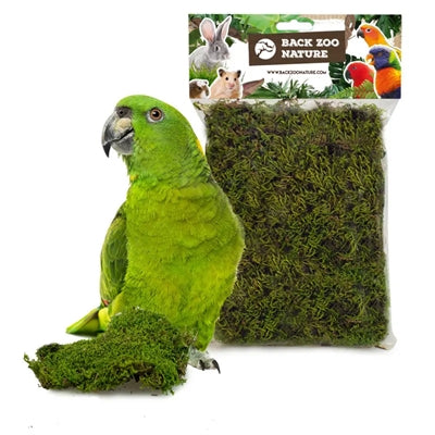 BACK ZOO NATURE FOREST MOSS