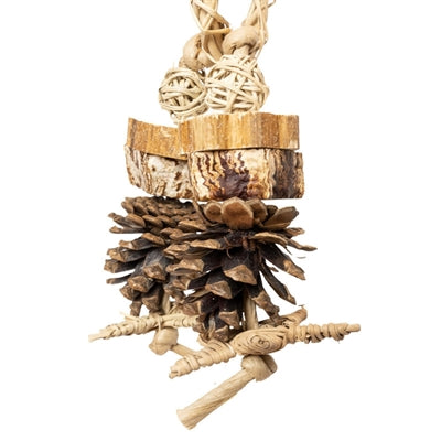 BACK ZOO NATURE FOREST RING