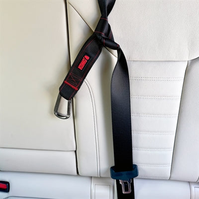 KONG SEAT BELT LOOP TETHER
