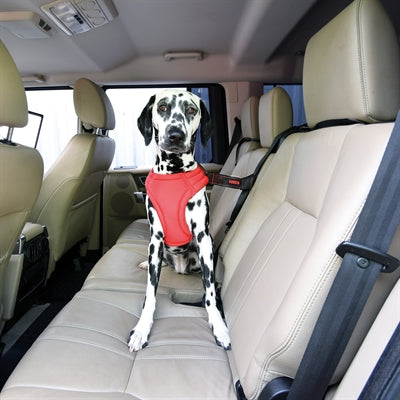 KONG SEAT BELT LOOP TETHER
