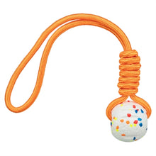 TRIXIE BAL AAN TOUW LIGHT & STRONG WIT / MEERKLEURIG