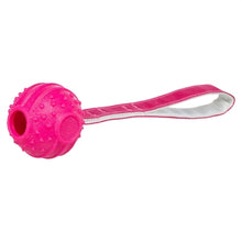 TRIXIE WERPBAL SOFT & STRONG TPR ROZE