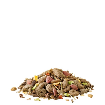 VERSELE-LAGA CRISPY MUESLI KONIJN