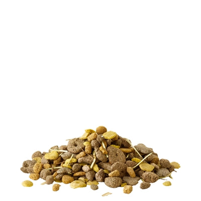 VERSELE-LAGA CRISPY SNACK MET VEZELS