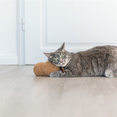 Trixie Pinda Xxl Pluche Met Amerikaanse Catnip 20 Cm