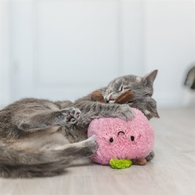 Trixie Perzik Xxl Pluche Met Amerikaanse Catnip 20 Cm