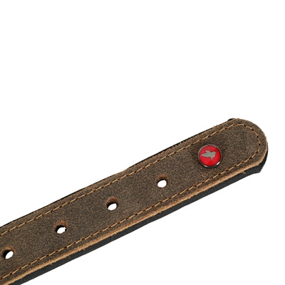 Zolux Expert Halsband Hond Premium Leer / Neopreen Bruin 35X1,4 Cm