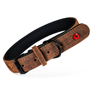 Zolux Expert Halsband Hond Premium Leer / Neopreen Bruin 55X2,5 Cm