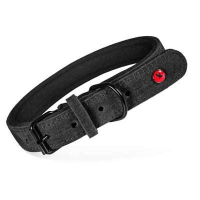 Zolux Expert Halsband Hond Premium Leer / Neopreen Zwart 70X3 Cm