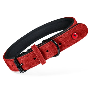Zolux Expert Halsband Hond Premium Leer / Neopreen Rood 35X1,4 Cm