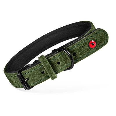 Zolux Expert Halsband Hond Premium Leer / Neopreen Groen 35X1,4 Cm