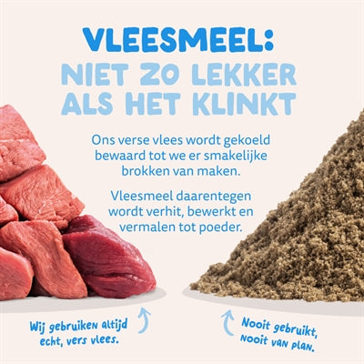 Edgard & Cooper Adult Verse Noorse Zalm Graanvrij 1 Kg