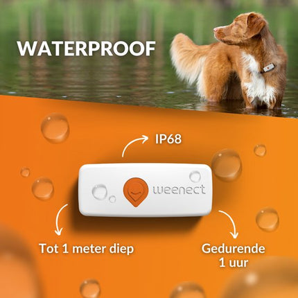 Weenect GPS Tracker Hond Wit