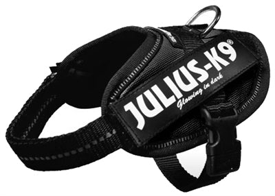 Julius K9 Idc Power-Harnas / Tuig Voor Labels Zwart BABY 1/30-37 CM