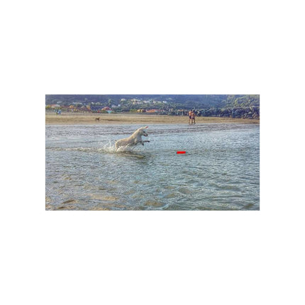 Chuckit Amphibious Bumper Assorti SMALL