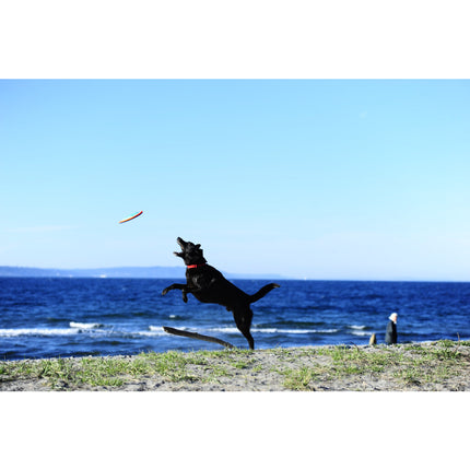 Chuckit Paraflight SMALL