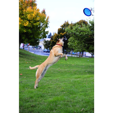 Chuckit Paraflight SMALL