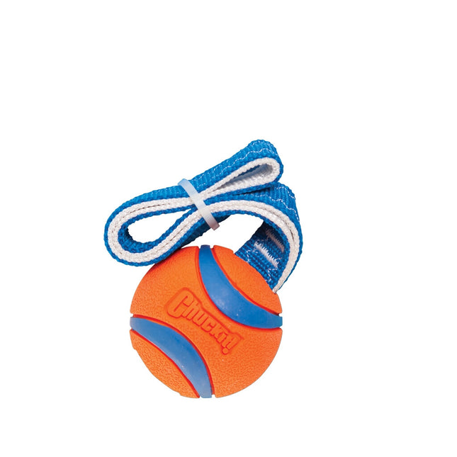 Chuckit Ultra Tug 26X6X6 CM