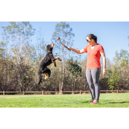 Chuckit Fetch & Fold Mini Launcher Werpstok 18M 30,5X12,5X6,5 CM