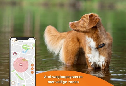 Weenect GPS Tracker Hond Zwart