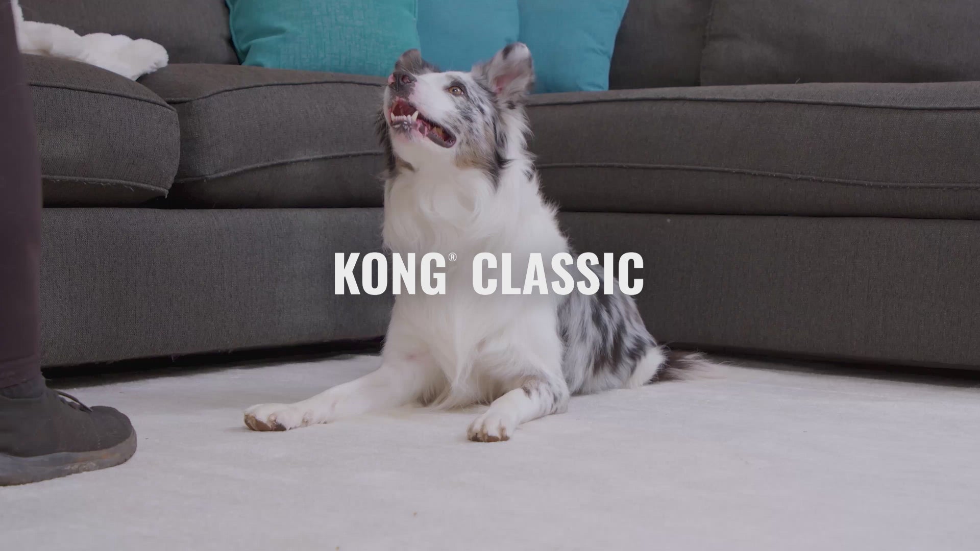 Video laden: 