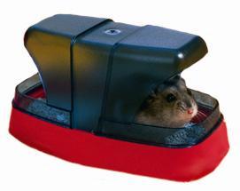 Savic Hamstertoilet 17X10X10 CM - Pet4you