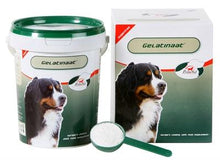 Primeval Gelatinaat Hond 500 GR - Pet4you
