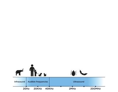 Tickless Teek En Vlo Afweer Voor Hond En Kat Fluoriserend Oranje - Pet4you
