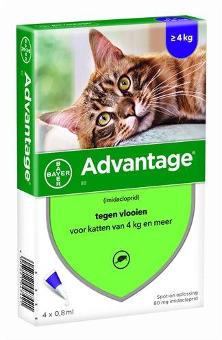 Bayer Advantage Kat 80 VANAF 4 KG 4 PIP - Pet4you