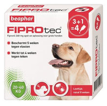 Beaphar Fiprotec Hond Tegen Teken En Vlooien 20-40 KG 3+1 PIP - Pet4you