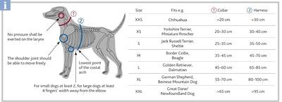 Trixie Halsband Hond Premium Fuchsia 22-35X1 CM - Pet4you