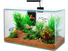 Zolux Aquarium Clear Kit Zwart 32 LTR 50X25X38 CM - Pet4you