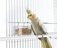 Imac Voerbak Parrot 11,5X7X4,5 CM - Pet4you