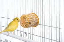 Imac Nestmateriaal 7,5X7,5X7 CM - Pet4you