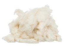 Trixie Nestmateriaal Kapok Creme 40 GR - Pet4you