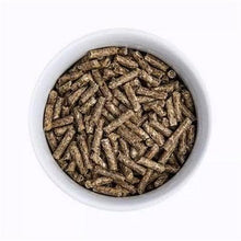 Bunny Nature Healthfood Profit 200 GR - Pet4you
