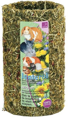 Esve Lenterol MEDIUM 25 CM - Pet4you